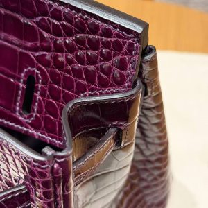 Hermès Birkin 25 Bag Handmade In Alligator Leather from Mississippi Silver Hardware N5 Cassis - Image 14