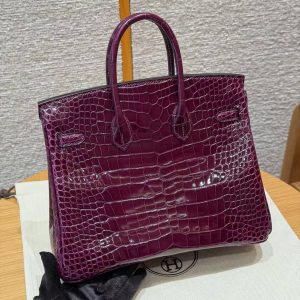 Hermès Birkin 25 Bag Handmade In Alligator Leather from Mississippi Silver Hardware N5 Cassis - Image 10