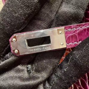 Hermès Birkin 25 Bag Handmade In Alligator Leather from Mississippi Silver Hardware N5 Cassis - Image 4