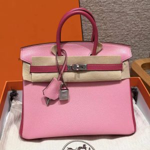 Hermes Birkin 25 Bag Handmade In Chèvre Leather Silver Hardware 5P Pink E5 Rose Tyrien