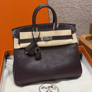 Hermès Birkin 25 Bag Handmade In Lizard Leather From South Africa Silver Hardware 46 Ebene