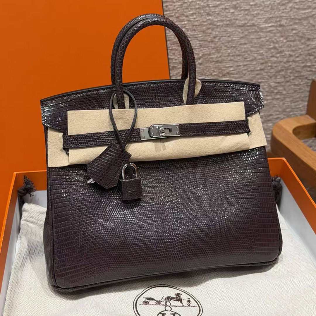 Hermès Birkin 25 Bag Handmade In Lizard Leather From South Africa Silver Hardware 46 Ebene