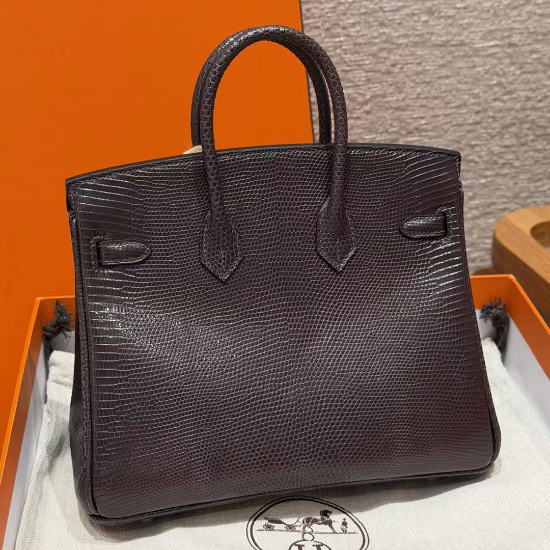 Hermès Birkin 25 Bag Handmade In Lizard Leather From South Africa Silver Hardware 46 Ebene - Image 2