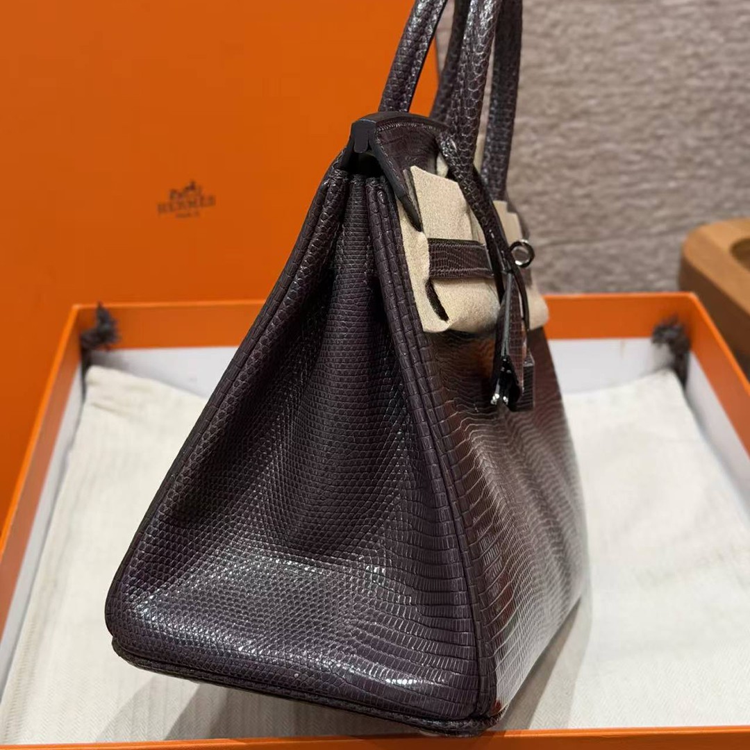 Hermès Birkin 25 Bag Handmade In Lizard Leather From South Africa Silver Hardware 46 Ebene - Image 25