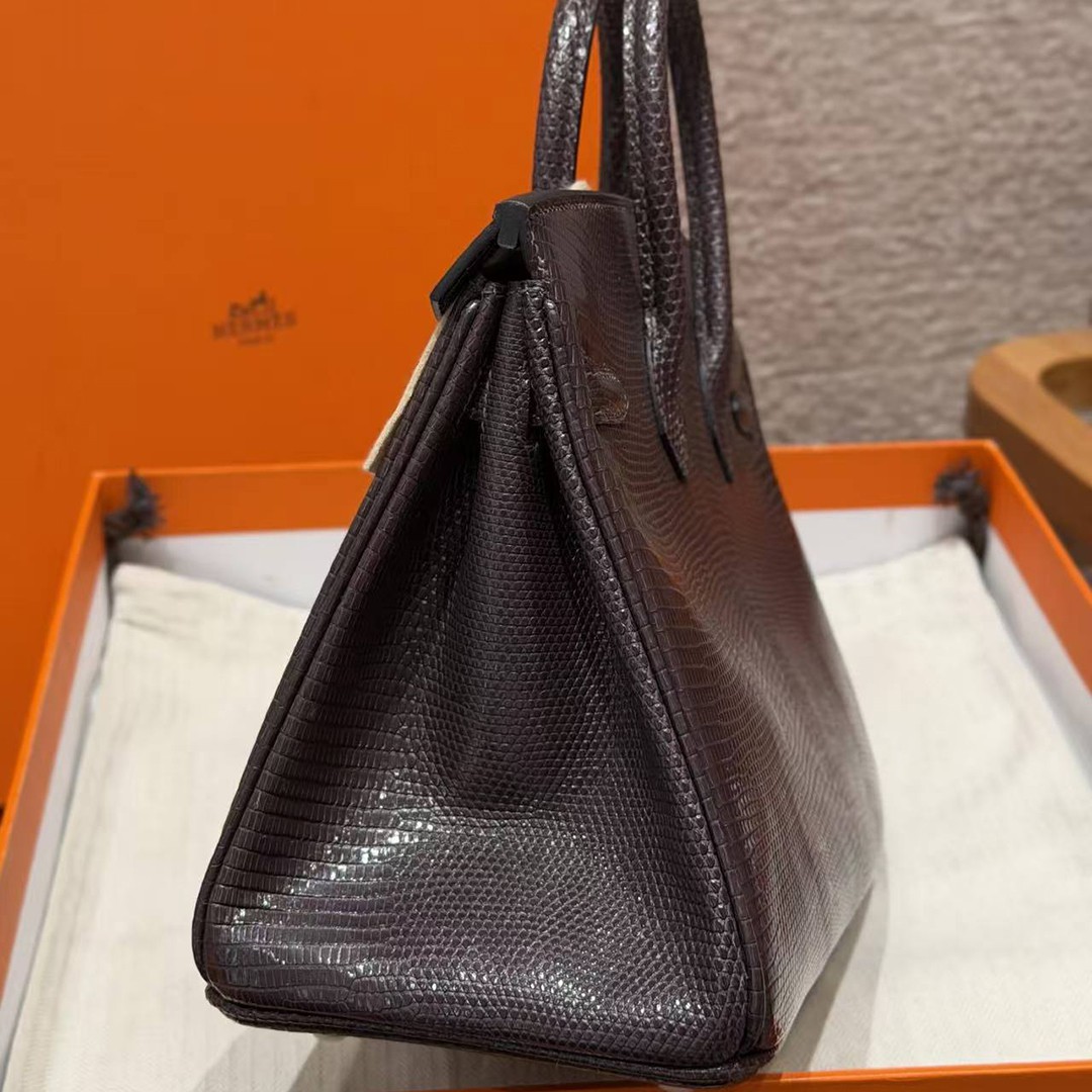 Hermès Birkin 25 Bag Handmade In Lizard Leather From South Africa Silver Hardware 46 Ebene - Image 24