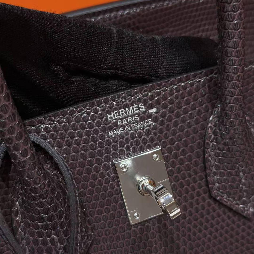 Hermès Birkin 25 Bag Handmade In Lizard Leather From South Africa Silver Hardware 46 Ebene - Image 21