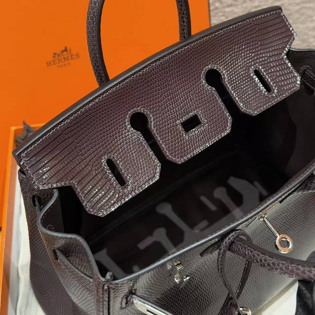 Hermès Birkin 25 Bag Handmade In Lizard Leather From South Africa Silver Hardware 46 Ebene - Image 18