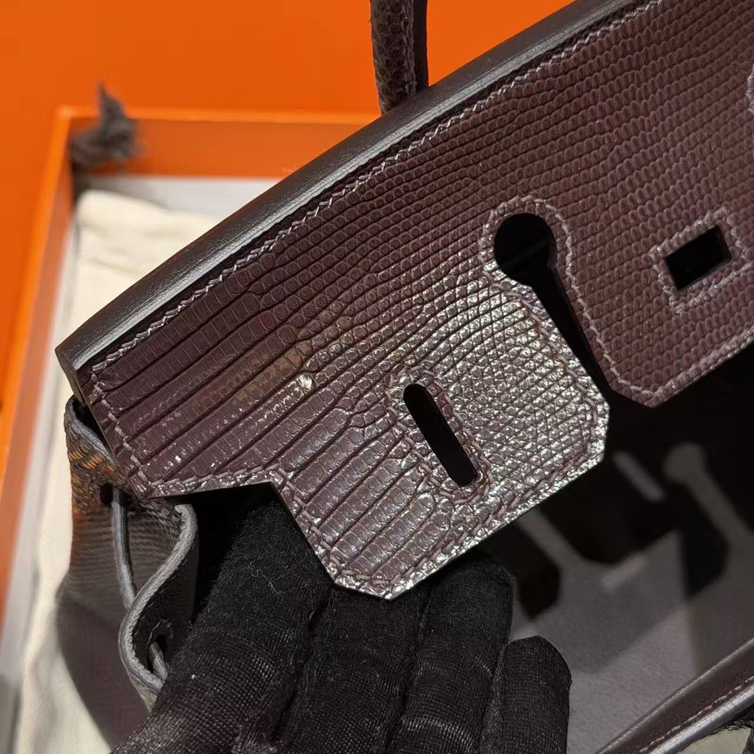 Hermès Birkin 25 Bag Handmade In Lizard Leather From South Africa Silver Hardware 46 Ebene - Image 17
