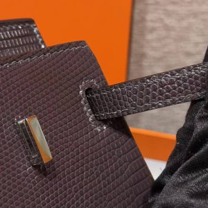 Hermès Birkin 25 Bag Handmade In Lizard Leather From South Africa Silver Hardware 46 Ebene - Image 13