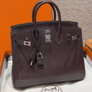 Hermès Birkin 25 Bag Handmade In Lizard Leather From South Africa Silver Hardware 46 Ebene - Image 12