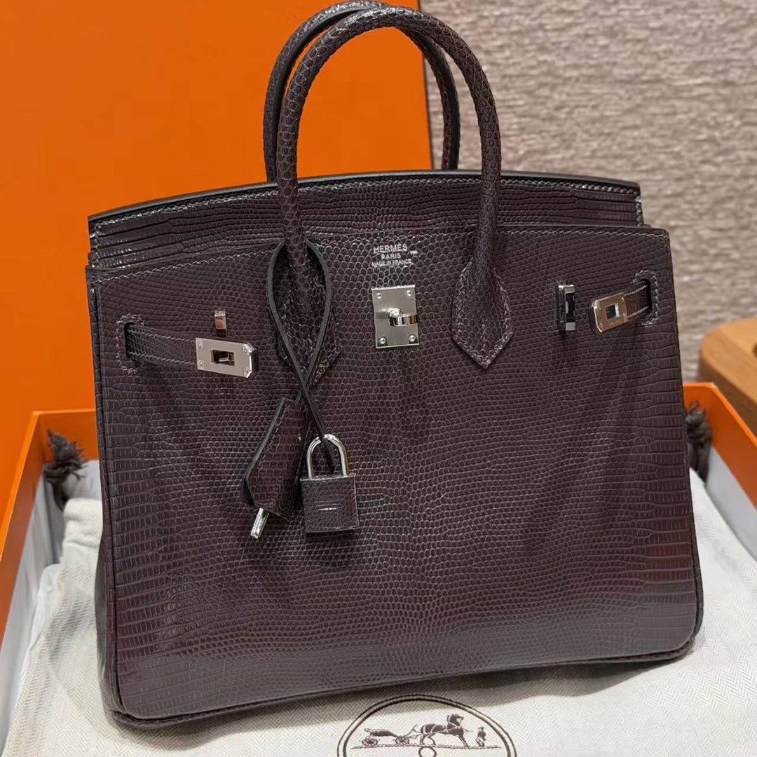 Hermès Birkin 25 Bag Handmade In Lizard Leather From South Africa Silver Hardware 46 Ebene - Image 12