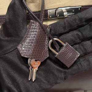 Hermès Birkin 25 Bag Handmade In Lizard Leather From South Africa Silver Hardware 46 Ebene - Image 10