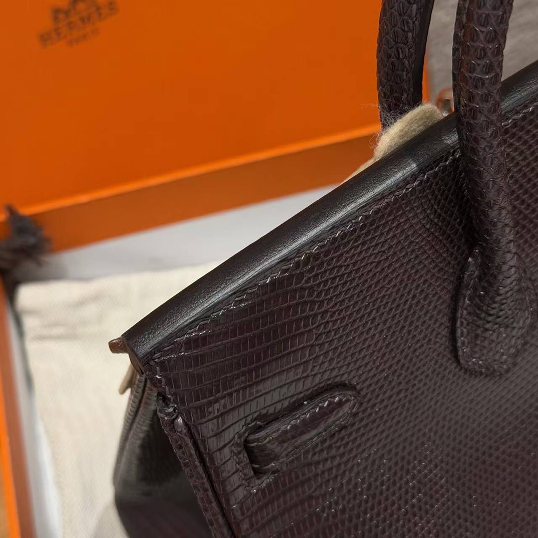Hermès Birkin 25 Bag Handmade In Lizard Leather From South Africa Silver Hardware 46 Ebene - Image 8