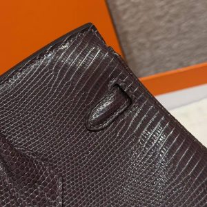 Hermès Birkin 25 Bag Handmade In Lizard Leather From South Africa Silver Hardware 46 Ebene - Image 7