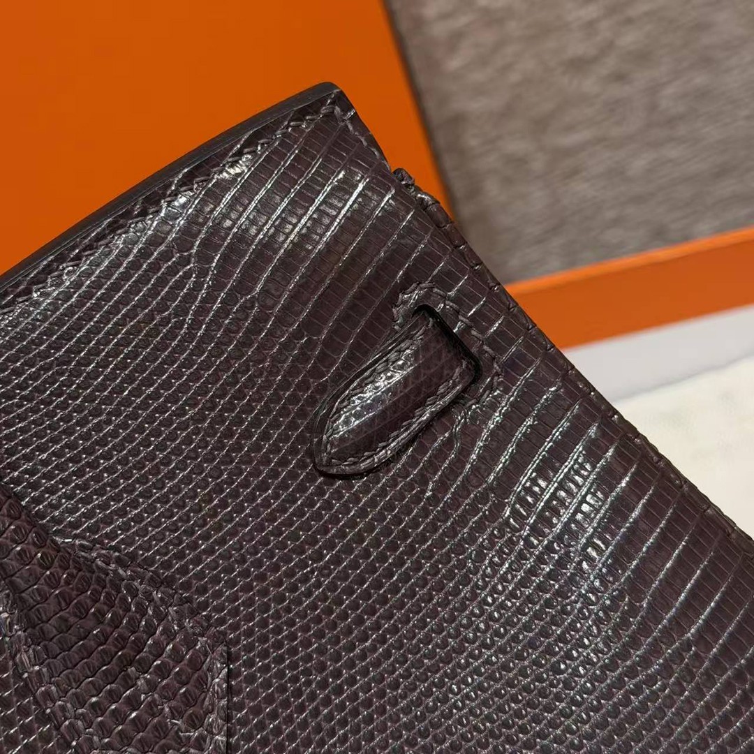 Hermès Birkin 25 Bag Handmade In Lizard Leather From South Africa Silver Hardware 46 Ebene - Image 7