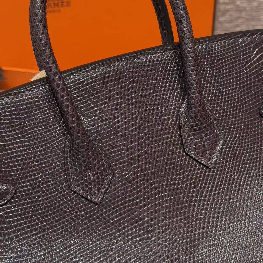 Hermès Birkin 25 Bag Handmade In Lizard Leather From South Africa Silver Hardware 46 Ebene - Image 6