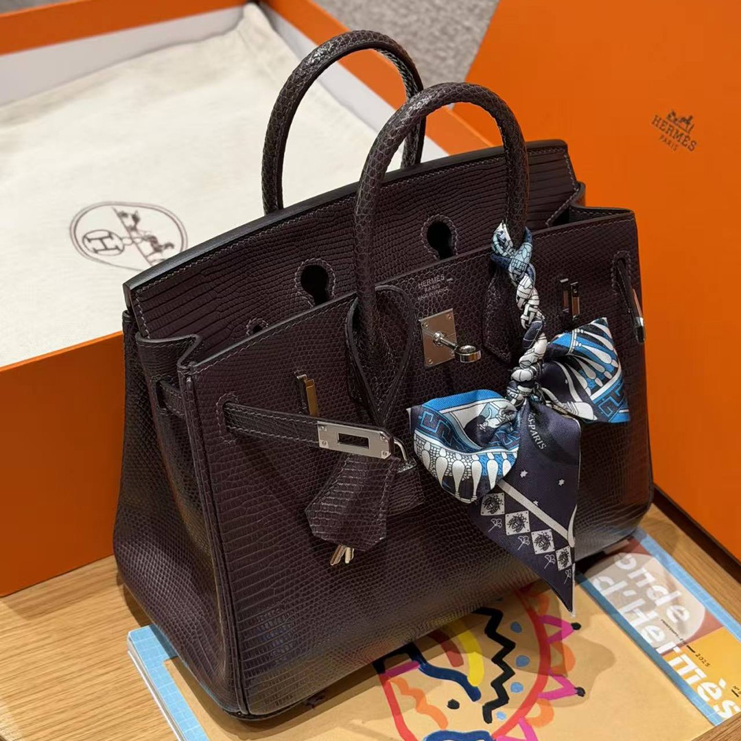 Hermès Birkin 25 Bag Handmade In Lizard Leather From South Africa Silver Hardware 46 Ebene - Image 4