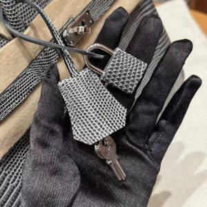 Hermès Birkin 25 Bag Handmade In Lizard Leather Silver Hardware 84 Gris Foncé - Image 4