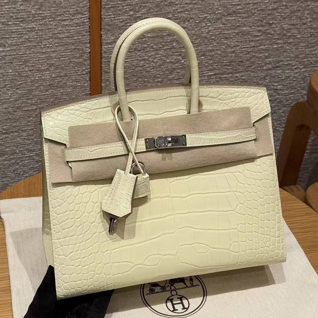 Hermès Birkin 25 Bag Handmade In Matte Alligator Leather Silver Hardware Y1 Vanille - Image 2