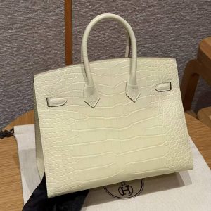 Hermès Birkin 25 Bag Handmade In Matte Alligator Leather Silver Hardware Y1 Vanille - Image 22