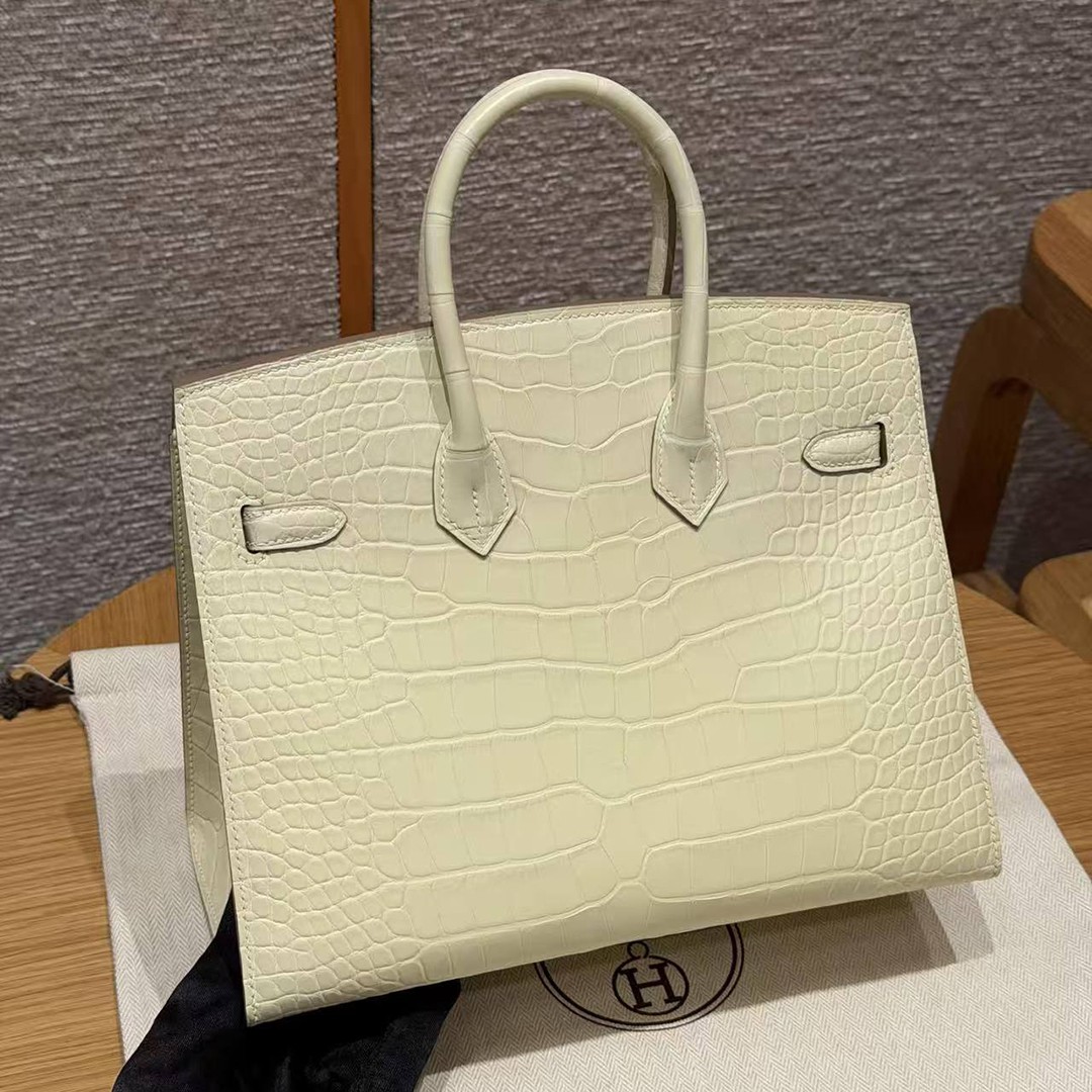 Hermès Birkin 25 Bag Handmade In Matte Alligator Leather Silver Hardware Y1 Vanille - Image 22