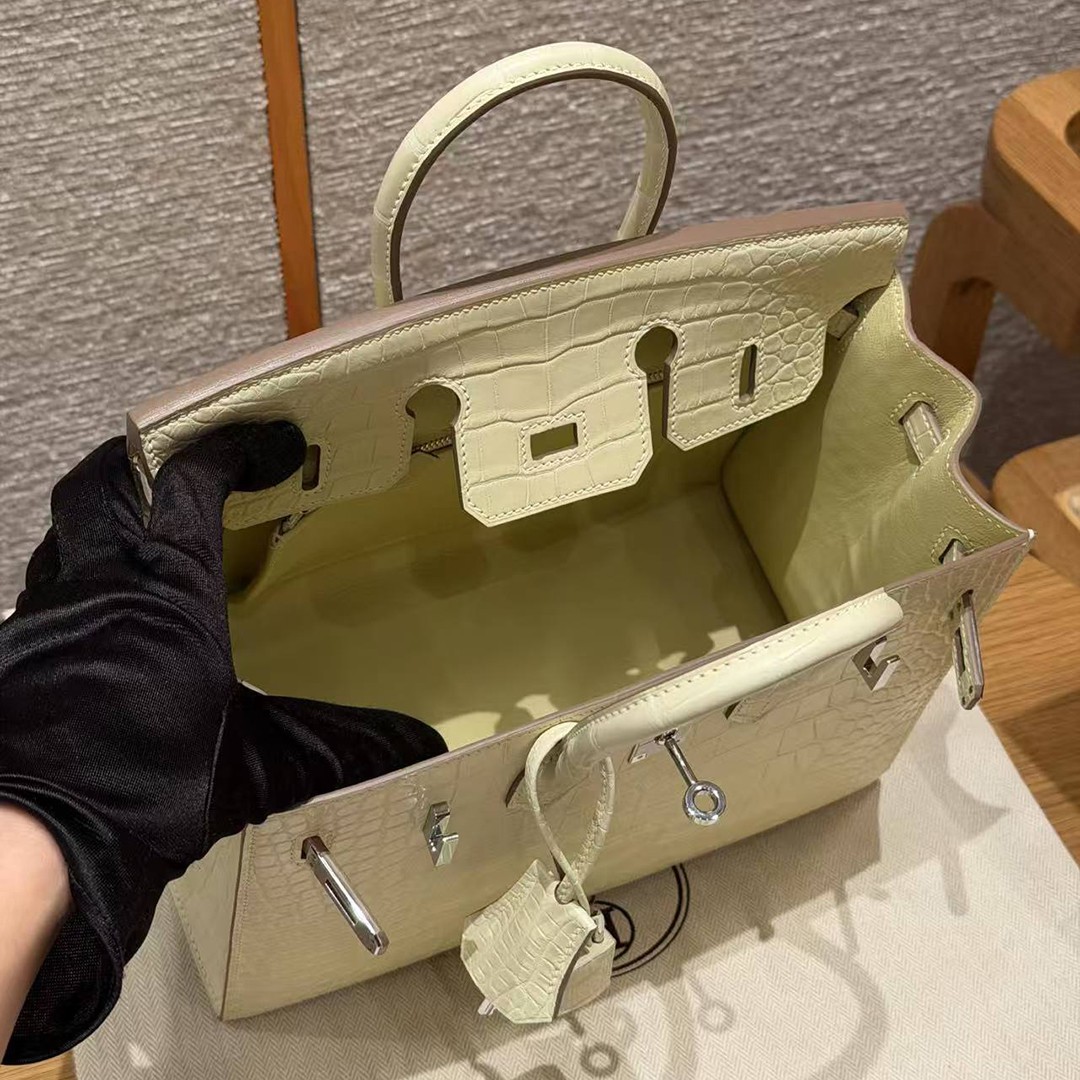 Hermès Birkin 25 Bag Handmade In Matte Alligator Leather Silver Hardware Y1 Vanille - Image 18