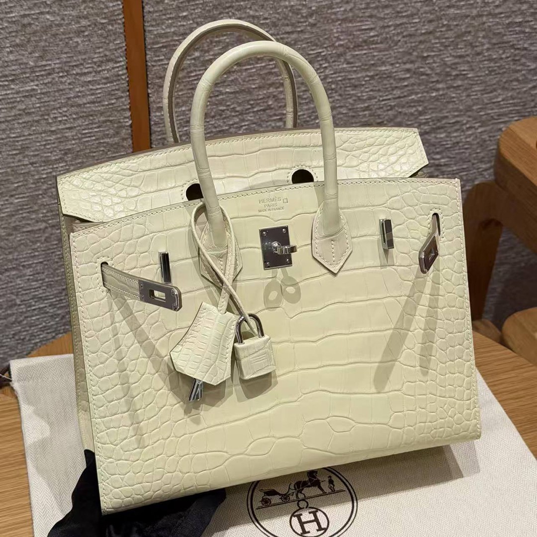 Hermès Birkin 25 Bag Handmade In Matte Alligator Leather Silver Hardware Y1 Vanille