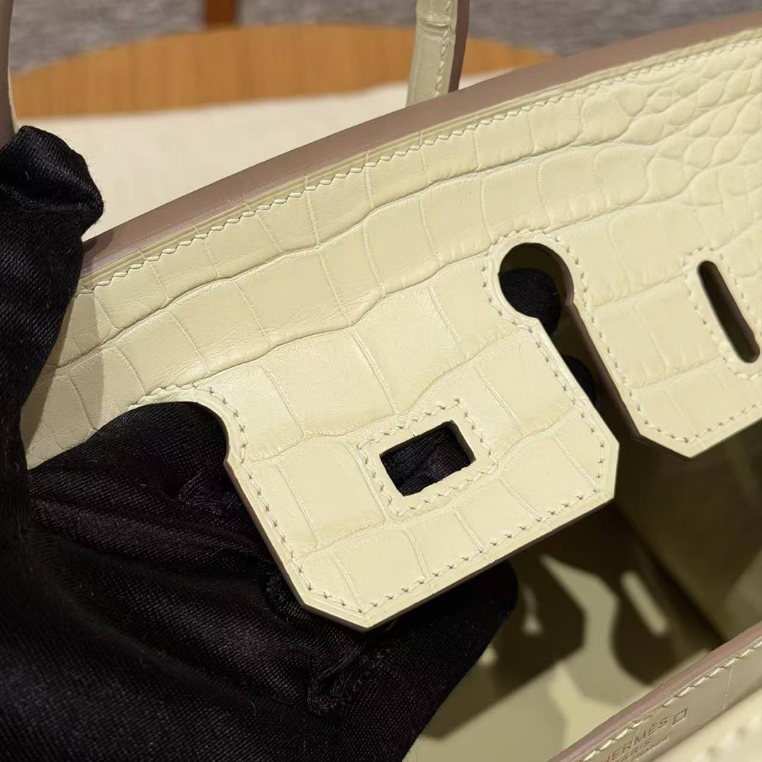 Hermès Birkin 25 Bag Handmade In Matte Alligator Leather Silver Hardware Y1 Vanille - Image 10