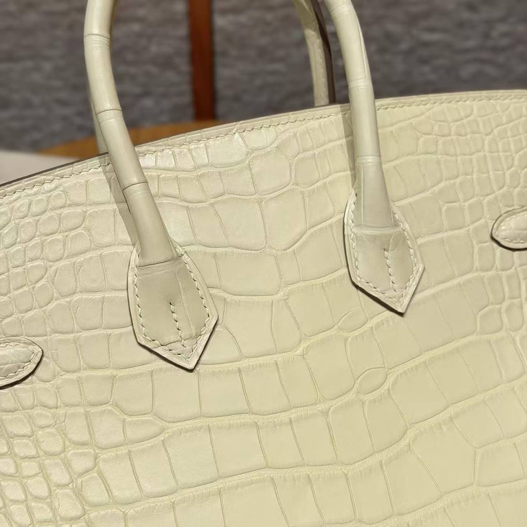 Hermès Birkin 25 Bag Handmade In Matte Alligator Leather Silver Hardware Y1 Vanille - Image 5