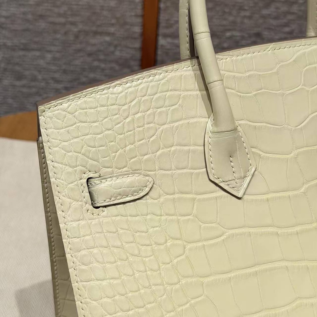 Hermès Birkin 25 Bag Handmade In Matte Alligator Leather Silver Hardware Y1 Vanille - Image 4