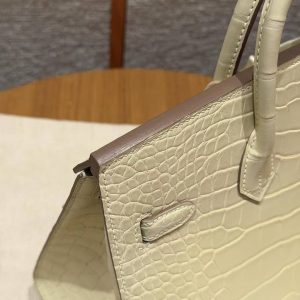 Hermès Birkin 25 Bag Handmade In Matte Alligator Leather Silver Hardware Y1 Vanille - Image 3