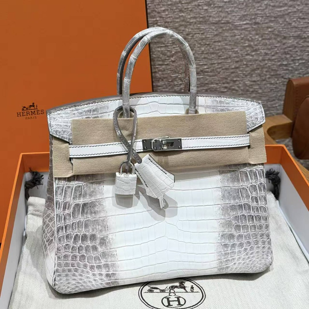 Hermès Birkin 25 Bag Handmade In Niloticus Leather Silver Hardware Himalaya