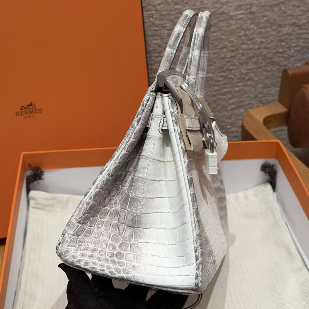Hermès Birkin 25 Bag Handmade In Niloticus Leather Silver Hardware Himalaya - Image 28
