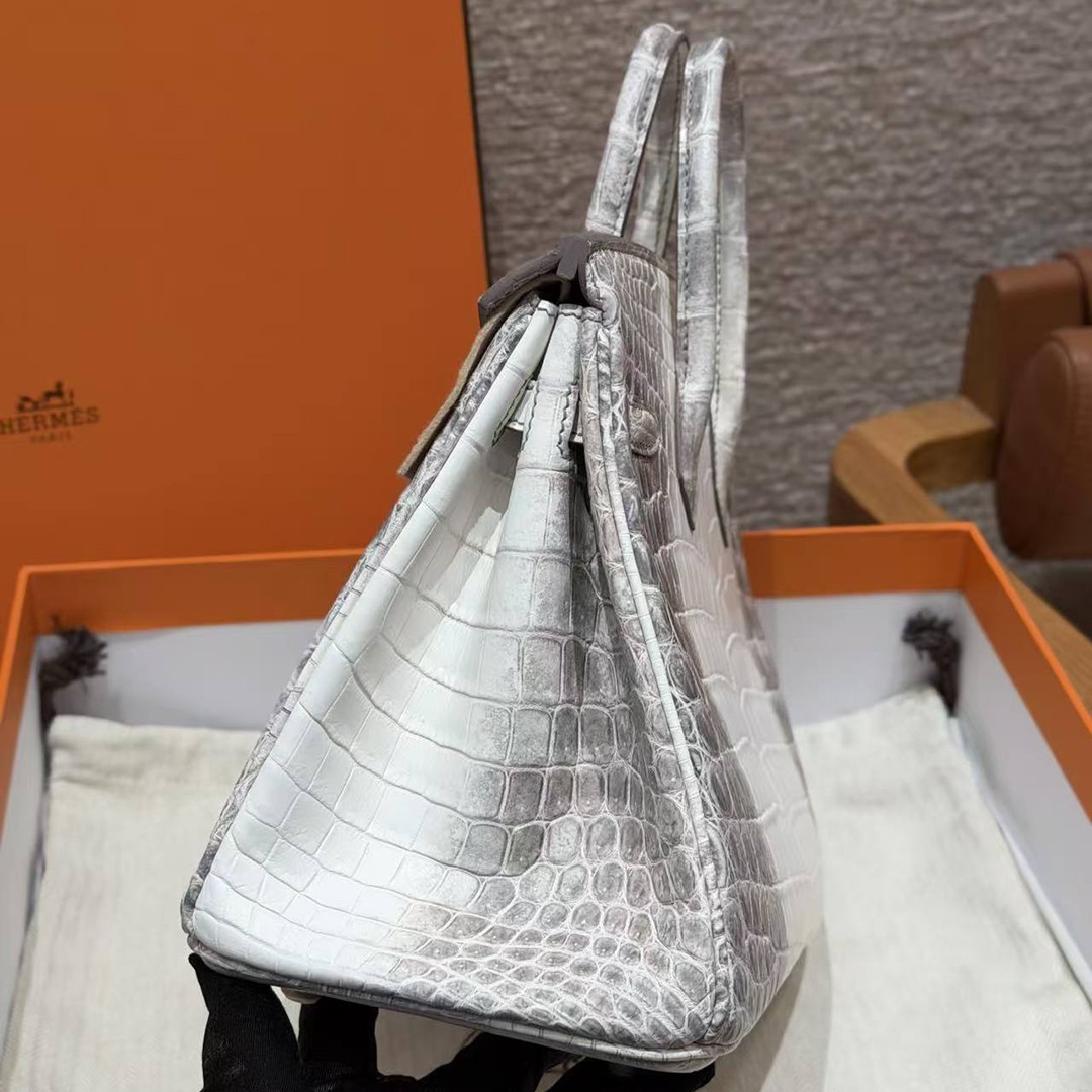 Hermès Birkin 25 Bag Handmade In Niloticus Leather Silver Hardware Himalaya - Image 27