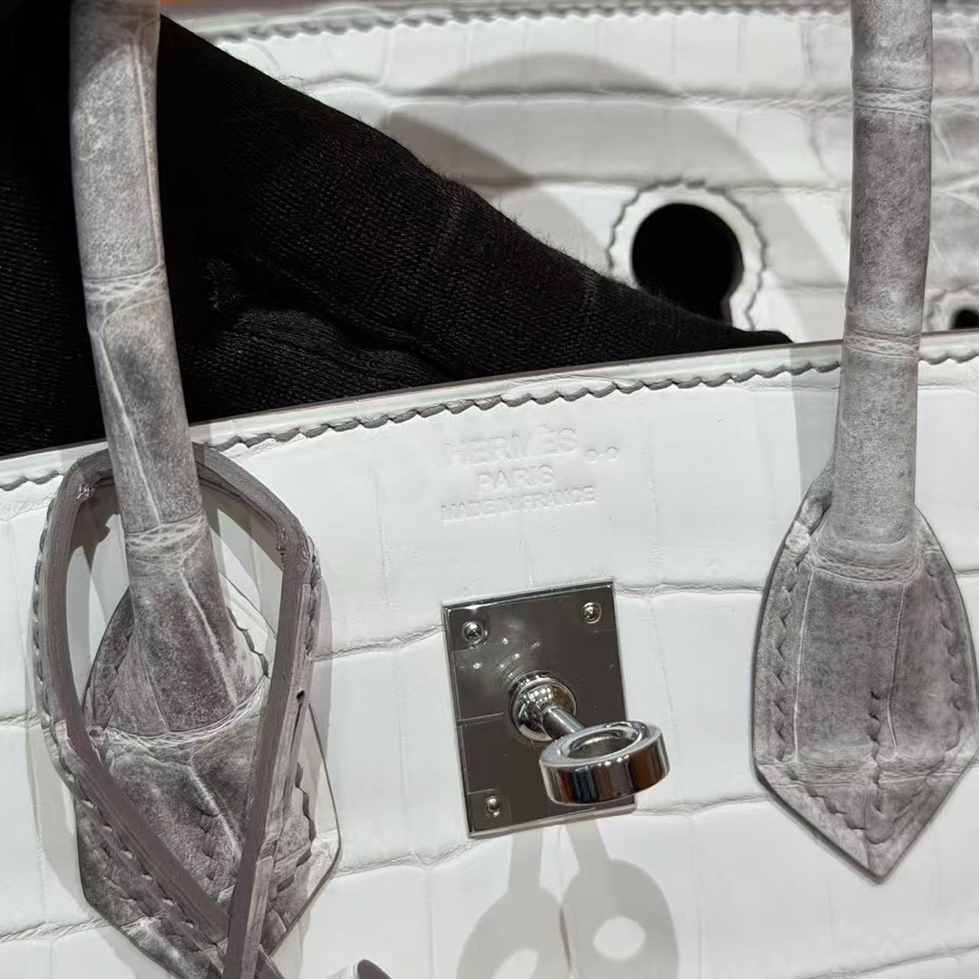Hermès Birkin 25 Bag Handmade In Niloticus Leather Silver Hardware Himalaya - Image 23