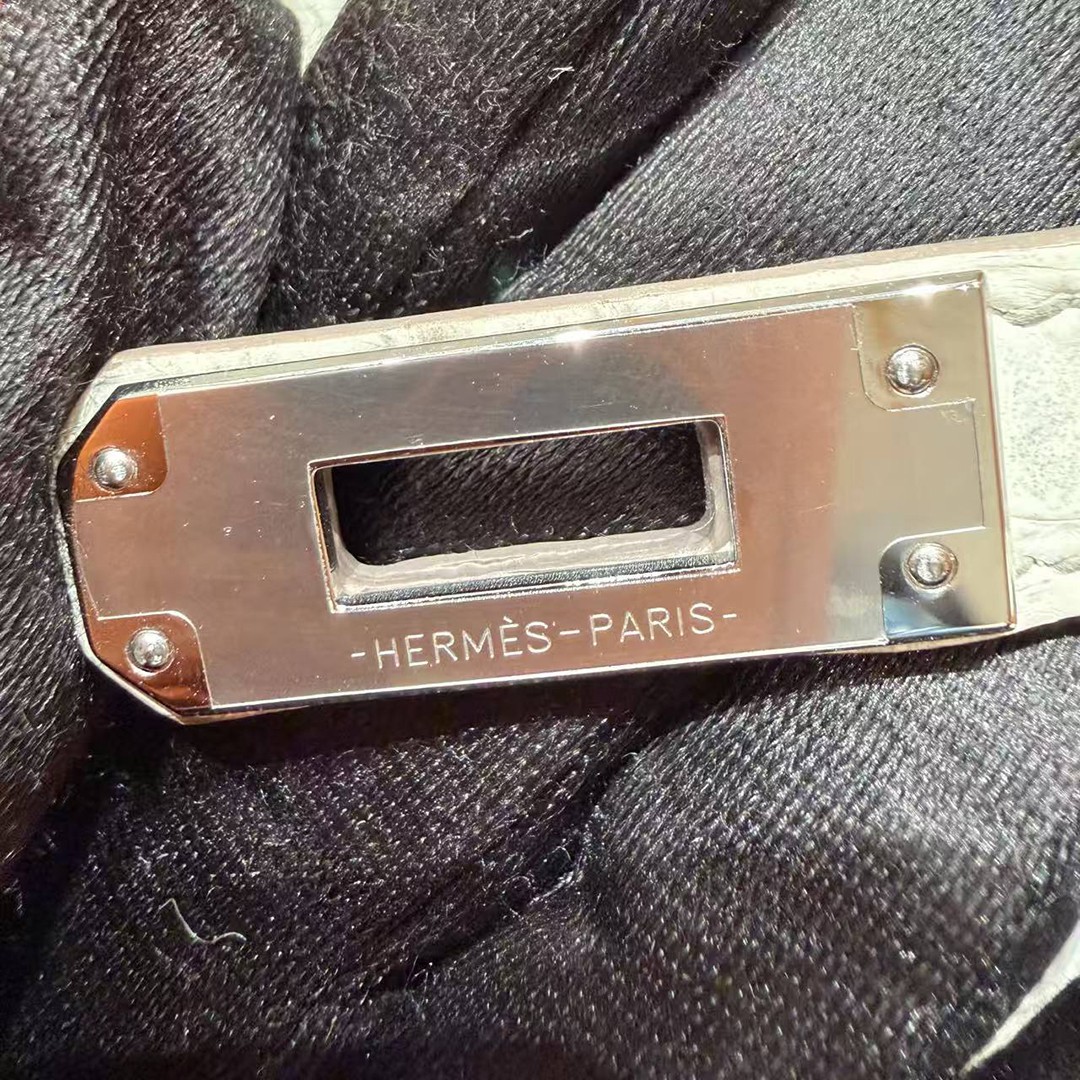 Hermès Birkin 25 Bag Handmade In Niloticus Leather Silver Hardware Himalaya - Image 22