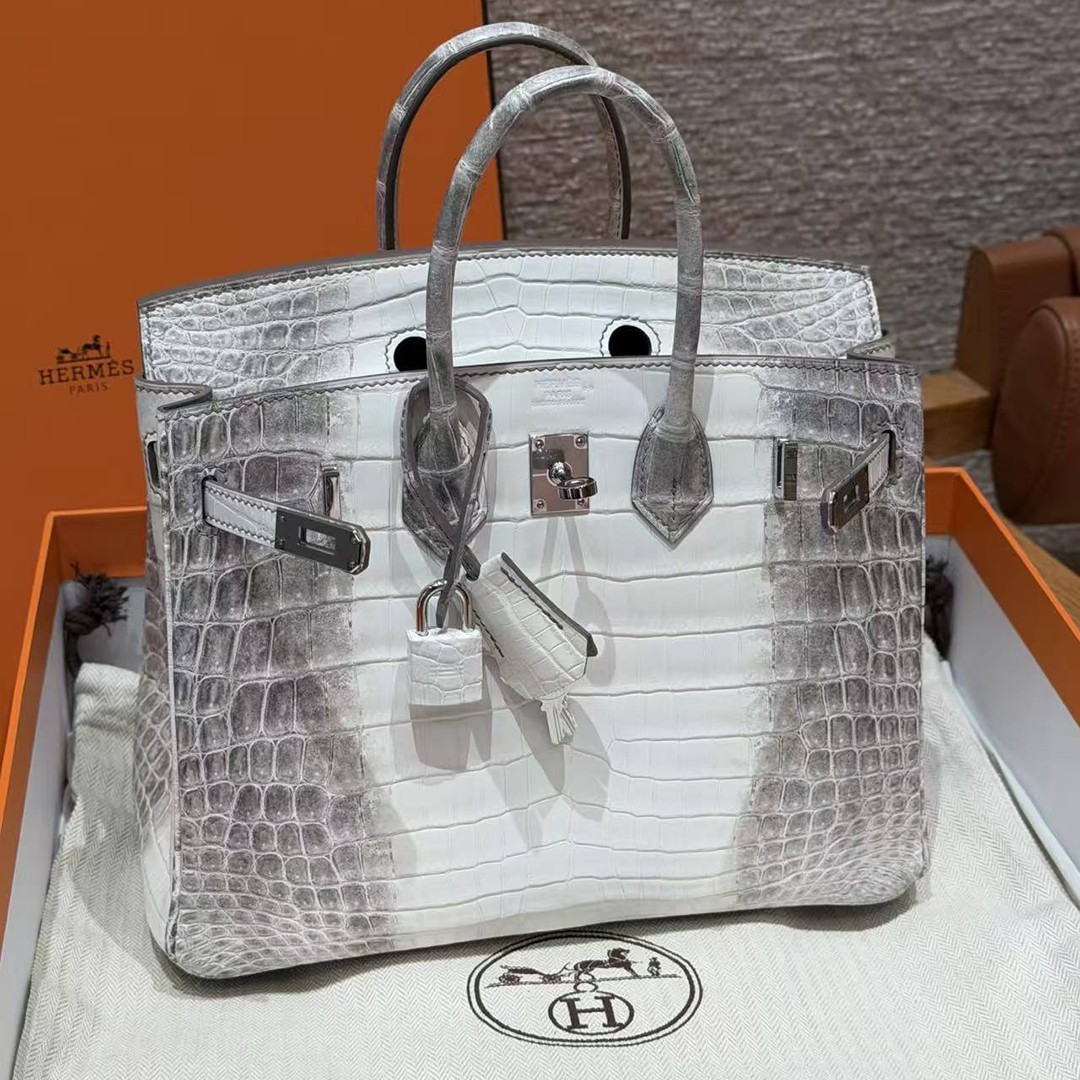 Hermès Birkin 25 Bag Handmade In Niloticus Leather Silver Hardware Himalaya - Image 21