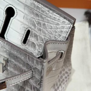 Hermès Birkin 25 Bag Handmade In Niloticus Leather Silver Hardware Himalaya - Image 17