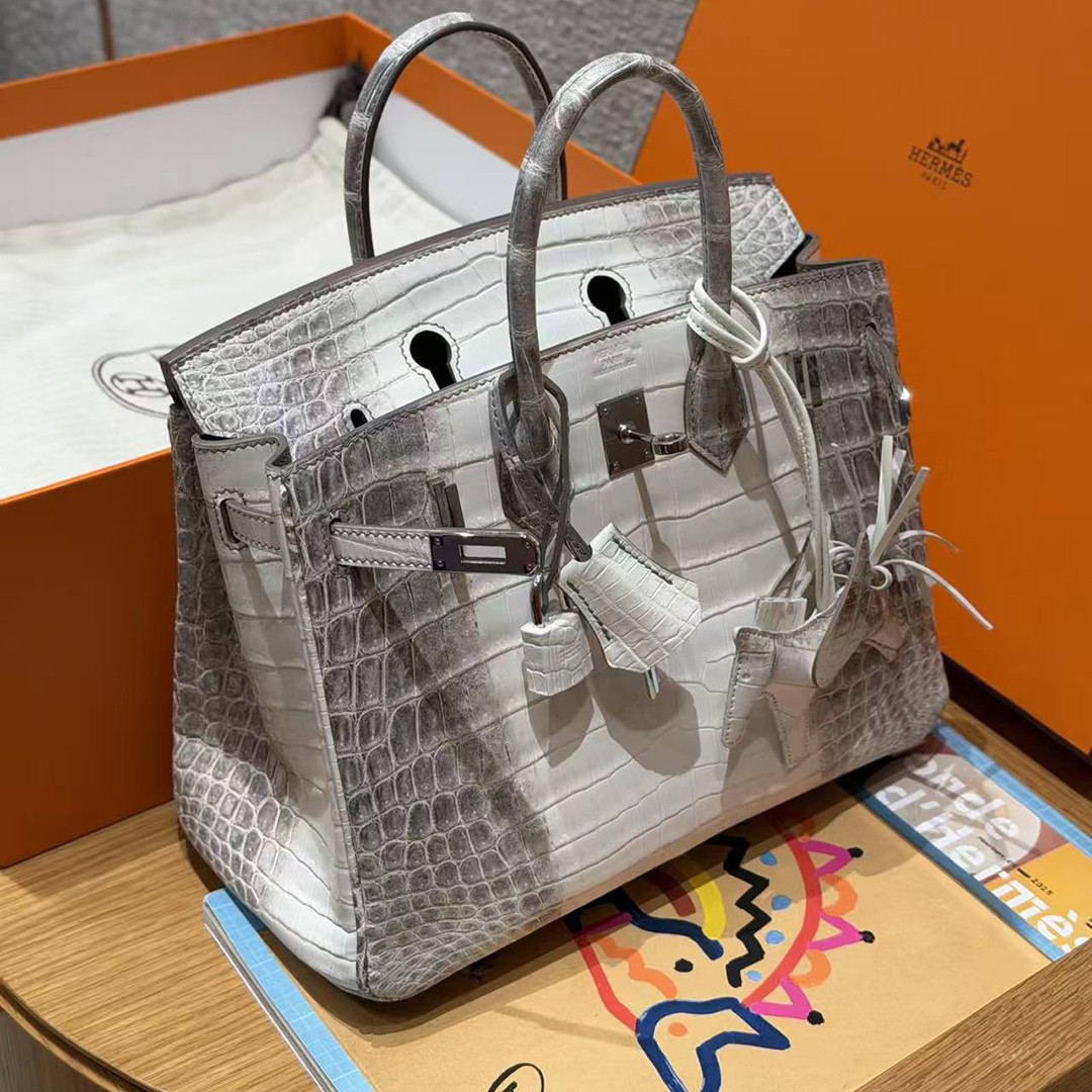 Hermès Birkin 25 Bag Handmade In Niloticus Leather Silver Hardware Himalaya - Image 12