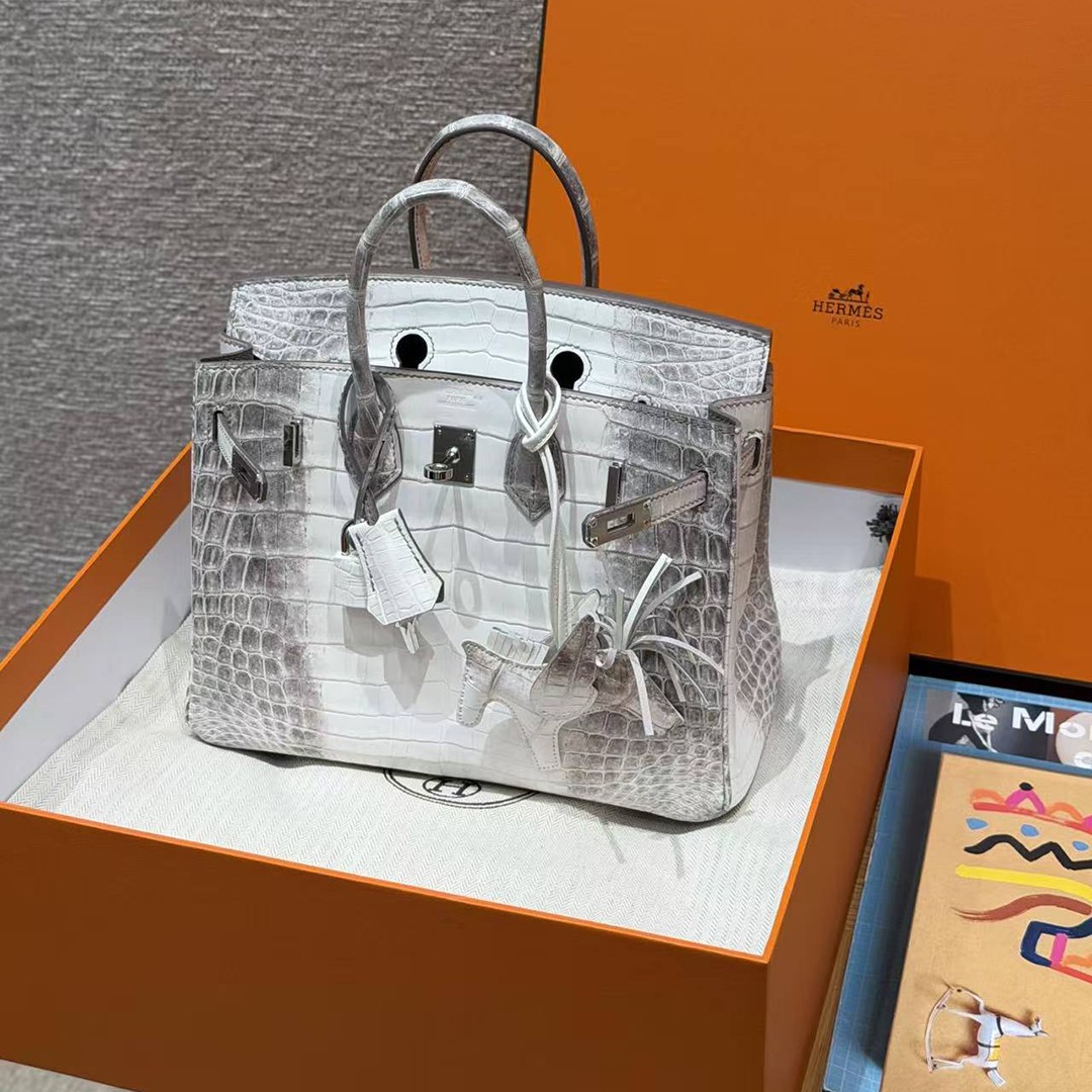 Hermès Birkin 25 Bag Handmade In Niloticus Leather Silver Hardware Himalaya - Image 11