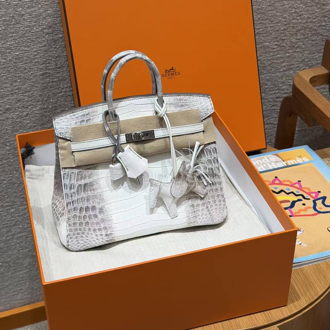 Hermès Birkin 25 Bag Handmade In Niloticus Leather Silver Hardware Himalaya - Image 10