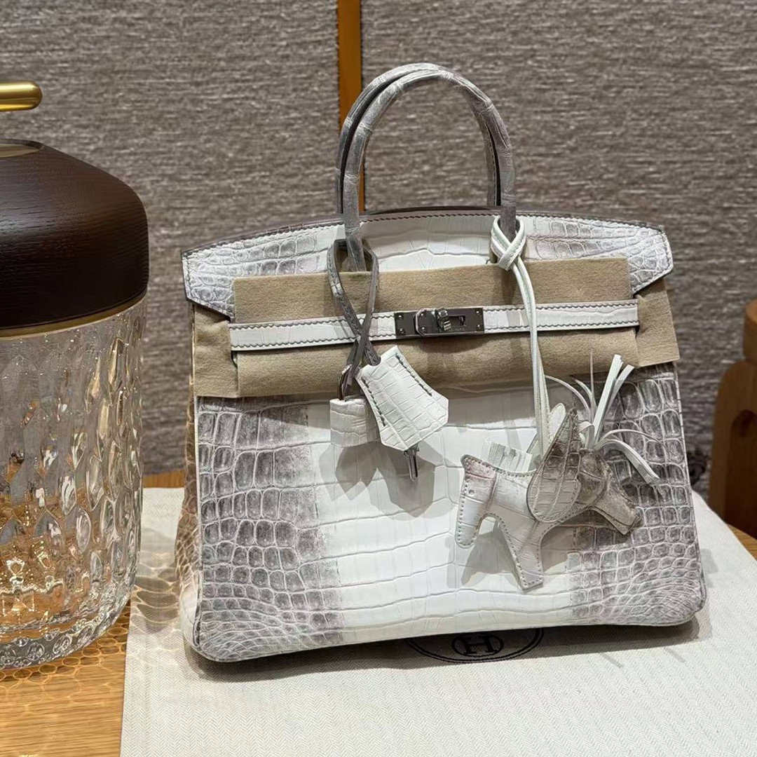 Hermès Birkin 25 Bag Handmade In Niloticus Leather Silver Hardware Himalaya - Image 9
