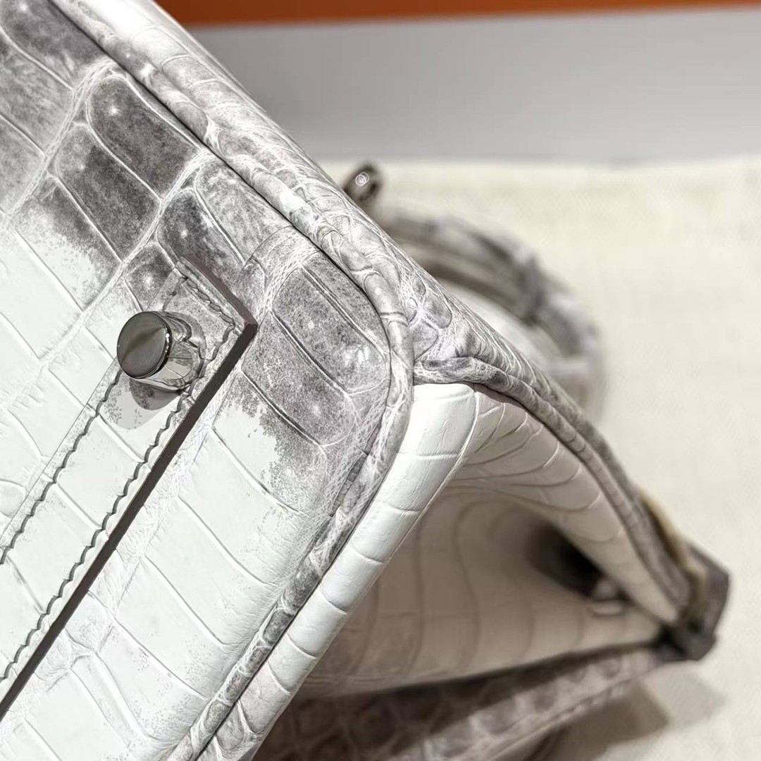 Hermès Birkin 25 Bag Handmade In Niloticus Leather Silver Hardware Himalaya - Image 7