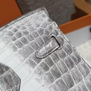 Hermès Birkin 25 Bag Handmade In Niloticus Leather Silver Hardware Himalaya - Image 5