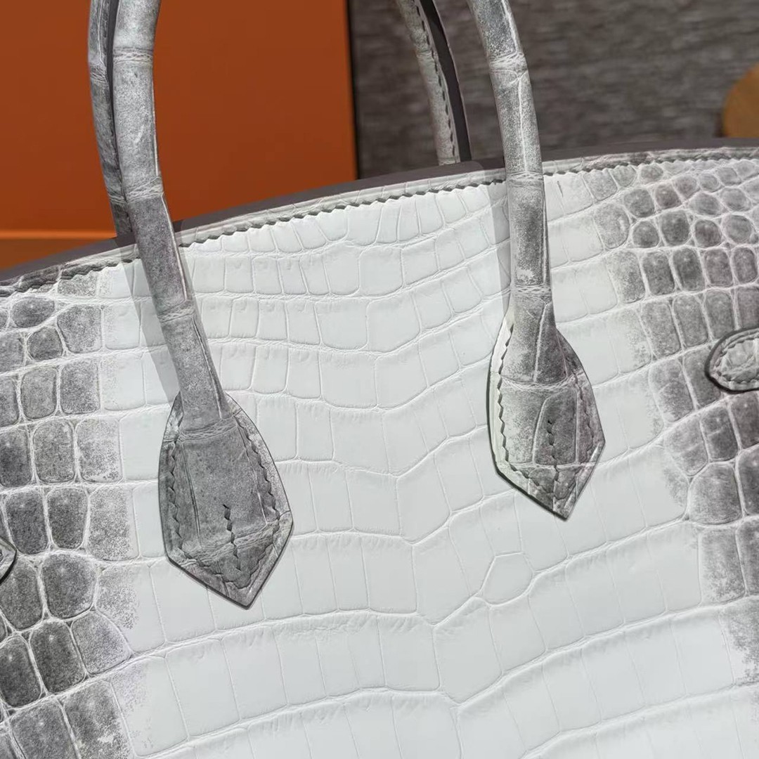 Hermès Birkin 25 Bag Handmade In Niloticus Leather Silver Hardware Himalaya - Image 4