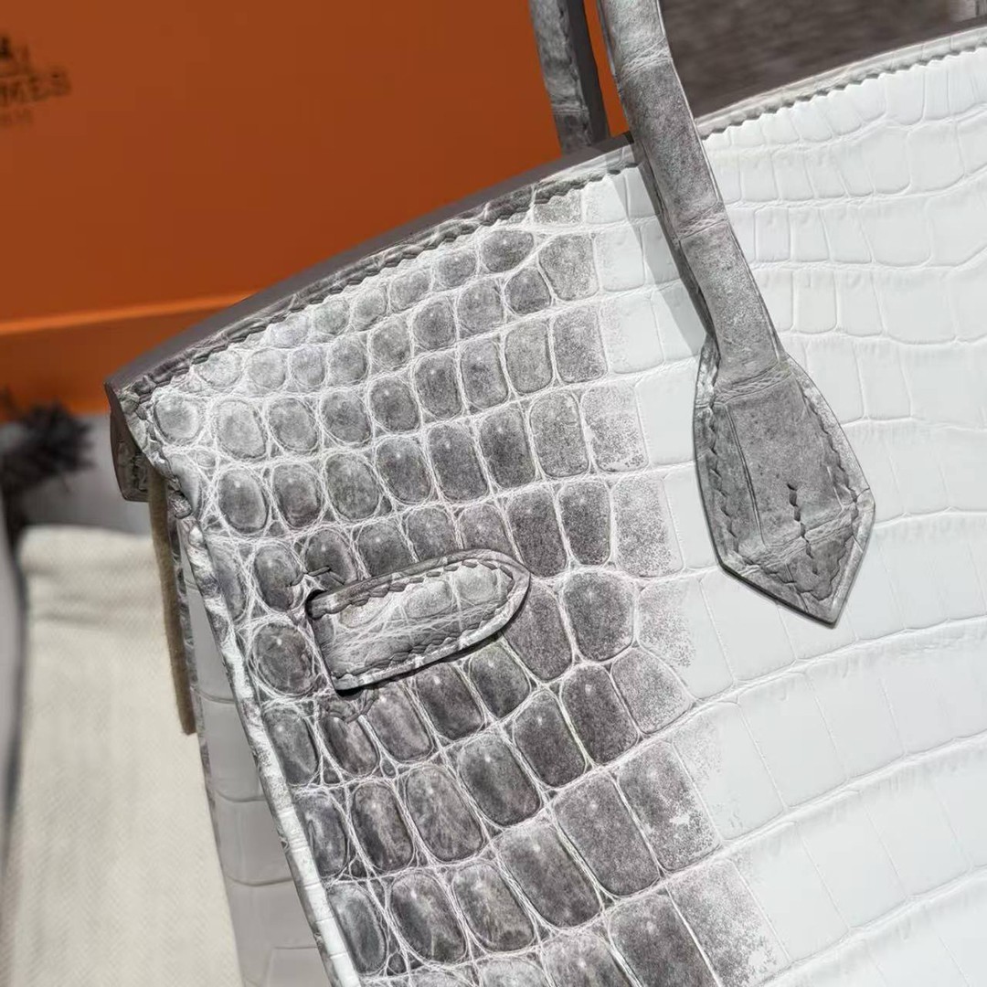 Hermès Birkin 25 Bag Handmade In Niloticus Leather Silver Hardware Himalaya - Image 3
