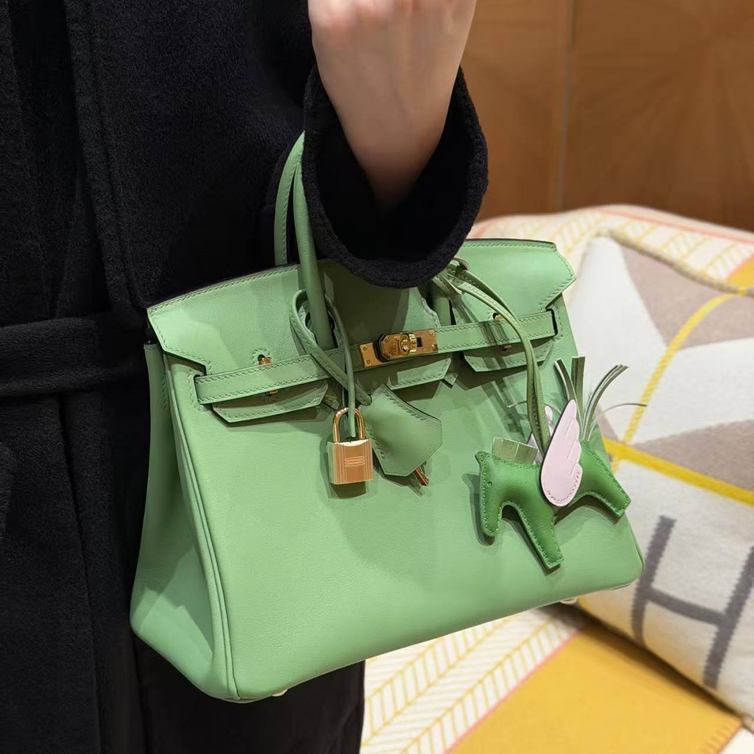 Hermes Birkin 25 Bag Handmade In Swift Calfskin Leather Gold Hardware 3I Vert Criquent - Image 2