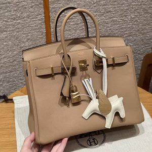 Hermes Birkin 25 Bag Handmade In Swift Calfskin Leather Silver Hardware 0M Chai