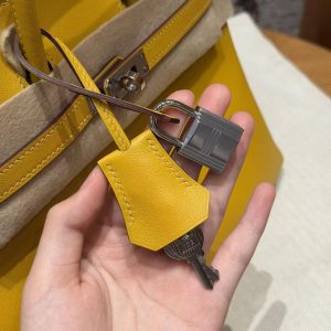 Hermès Birkin 25 Bag Handmade In Swift Calfskin Leather Silver Hardware T2 June Mango - Image 3