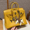 Hermès Birkin 25 Bag Handmade In Swift Calfskin Leather Silver Hardware T2 June Mango